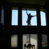 sacramento window cleaning pros